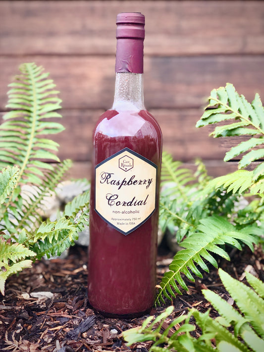 Cooking Magic: Non-Alcoholic Raspberry Cordial Recipe Ideas for Flavorful Delights | Care Rituals